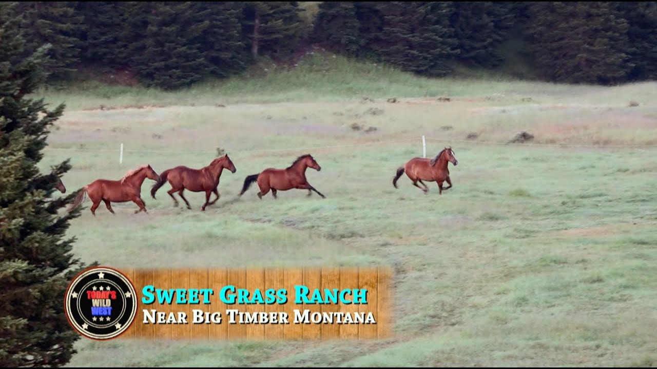 Montana's Sweet Grass Ranch