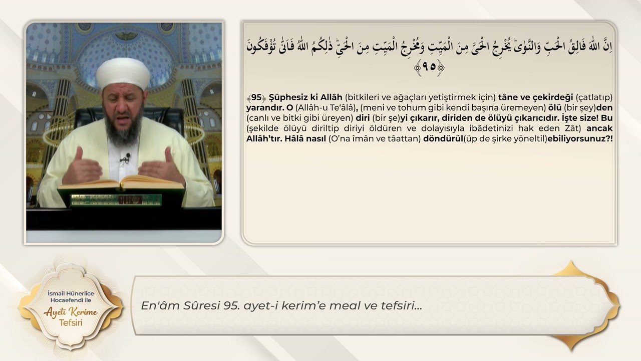 En'âm Sûresi 95. Ayet-i Kerim'e Meal ve Tefsiri - İsmail Hünerlice Hoca