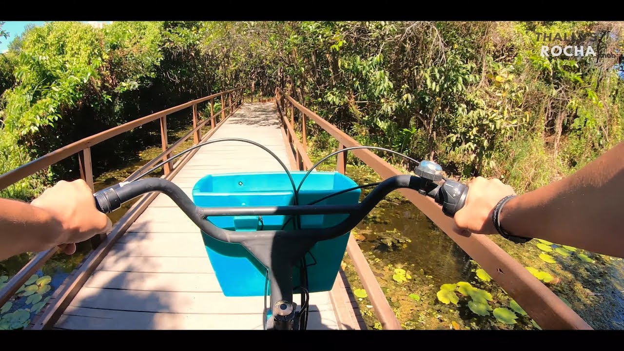 Велосипедный блог знакомится с удивительной тропой Parque do Cocó Trail в основных точках Fortaleza