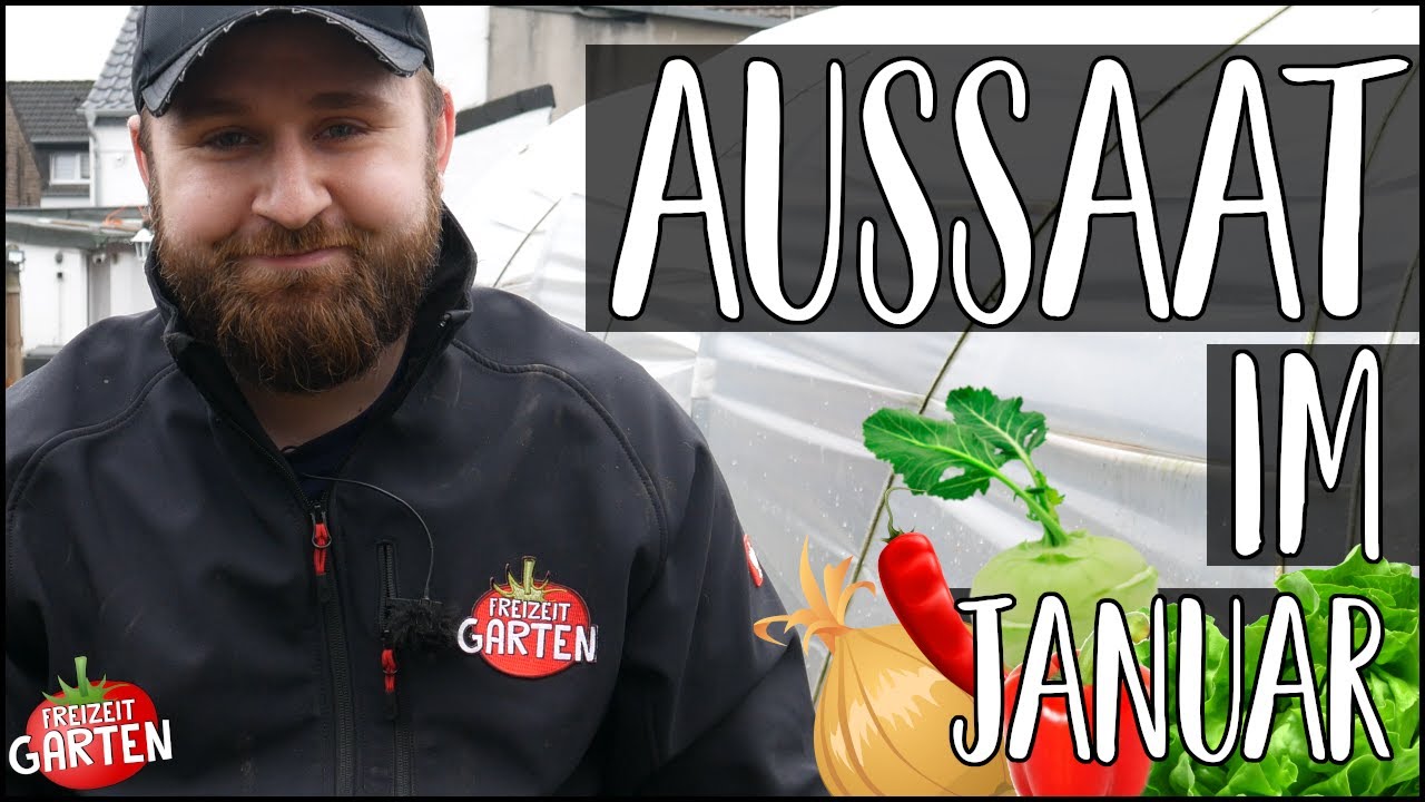 Aussaattipps im Januar | 5 Gemüse die du jetzt im Januar säen kannst!🌶🫑🥦🧅 | Freizeit Garten