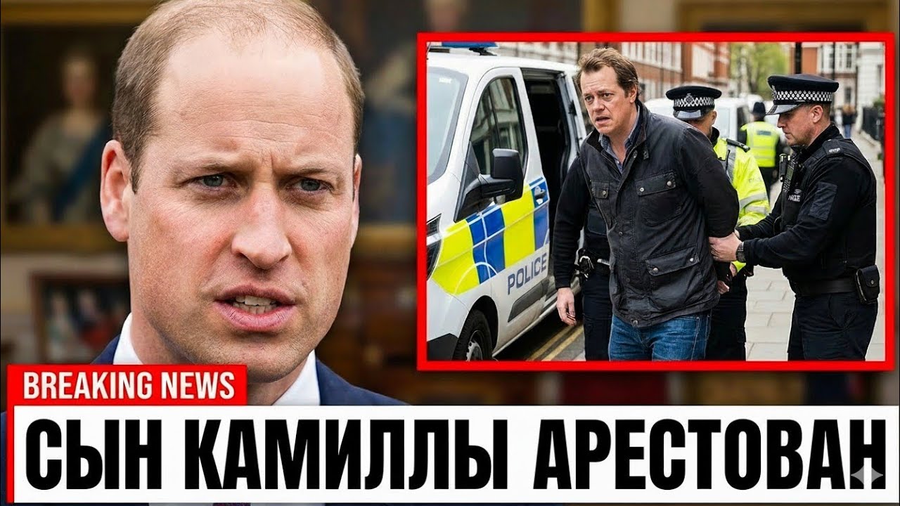 Принц Уильям ЛИШАЕТ семью Камиллы дворцовых привилегий после КОРОЛЕВСКОГО неуважения на ТВ!