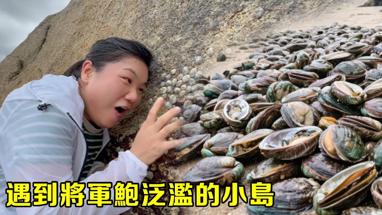 趕海難得一見的名場面，小漁遇到將軍鮑氾濫的小島，興奮到大聲尖叫【漁小仙】