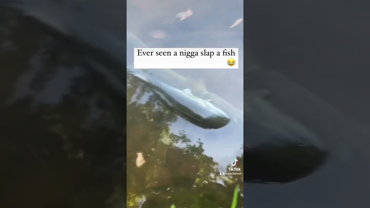 #funny #bassfishing #fishing #collab