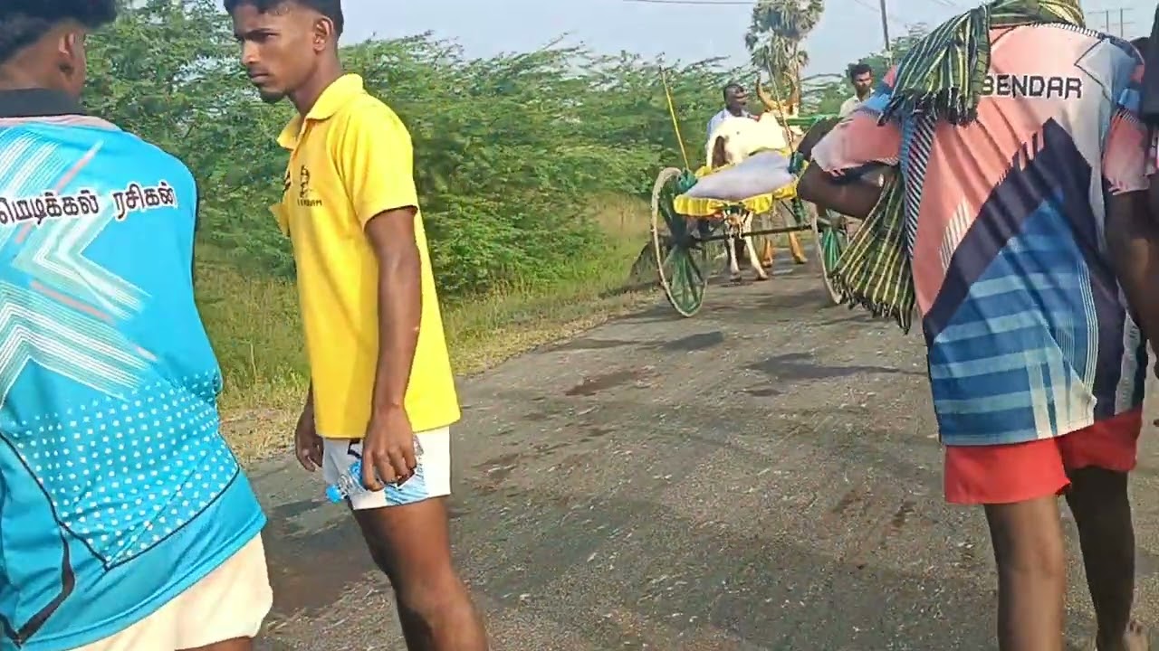 தூத்துக்குடி மாவட்டம் எப்போதும் வென்றான் அருகிலுள்ள சிவஞானபுரம் மாட்டு வண்டி பந்தயம்