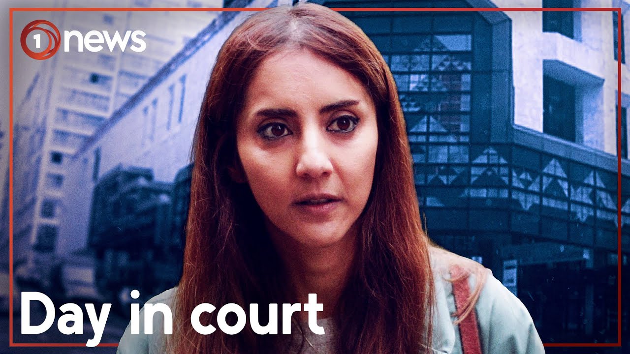 Golriz Ghahraman admits shoplifting charges | 1News