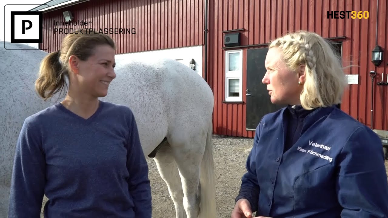 Vlog² 28 Hest360 hesten til tannlegen