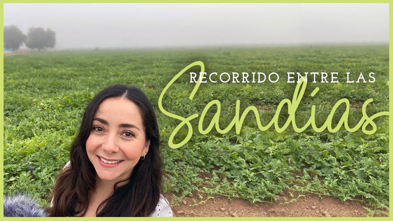 ASMR Susurros y Sandías / Watermelon eating/ Para dormir/Para estudiar /Asmr español / Nature/Relax