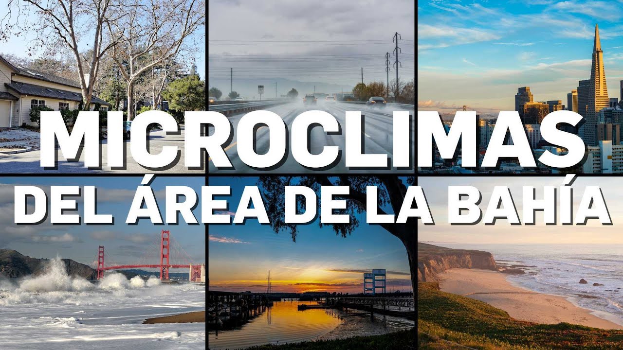 Microclimas del &Aacute;rea de la Bah&iacute;a: un viaje por la diversidad clim&aacute;tica en California