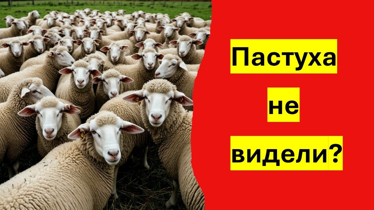 Бета-тестирование Печати Зверя.