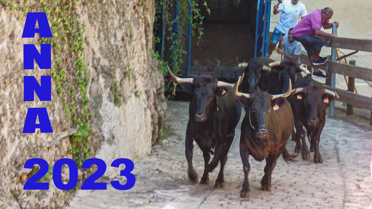 Anna Toros y vacas 30-09-23