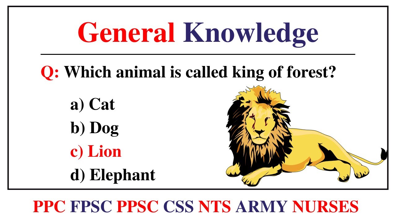 Common General Knowledge Questions And Answers || Gk Questions With Answers || General Awareness