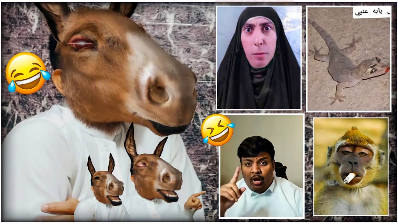 اذا تضحك انتة حمار 🐴🤣 - مقاطع تضحك