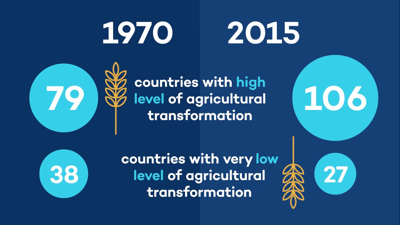 Agricultural Transformation: Success stories