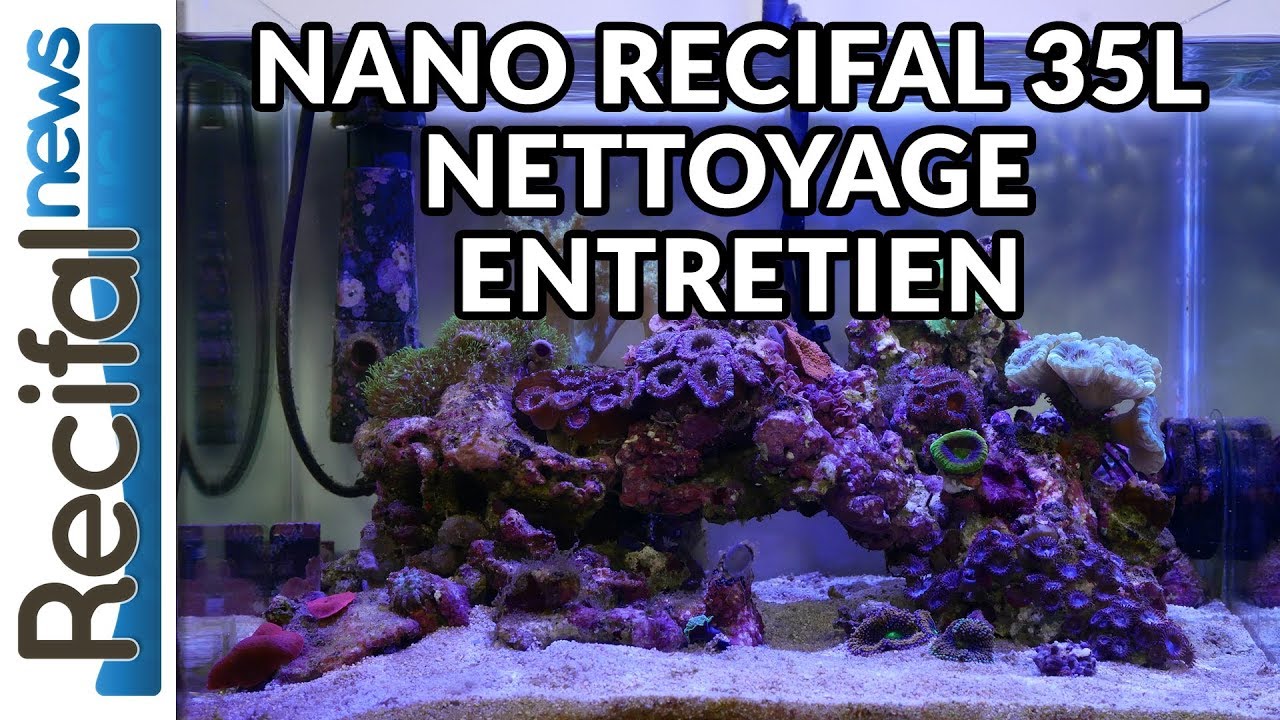 [VLOG#9] Axel : Nettoyage aquarium récifal nano 35L