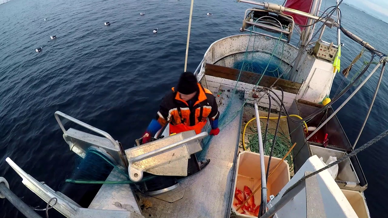 Fiske sjark garn Net fishing