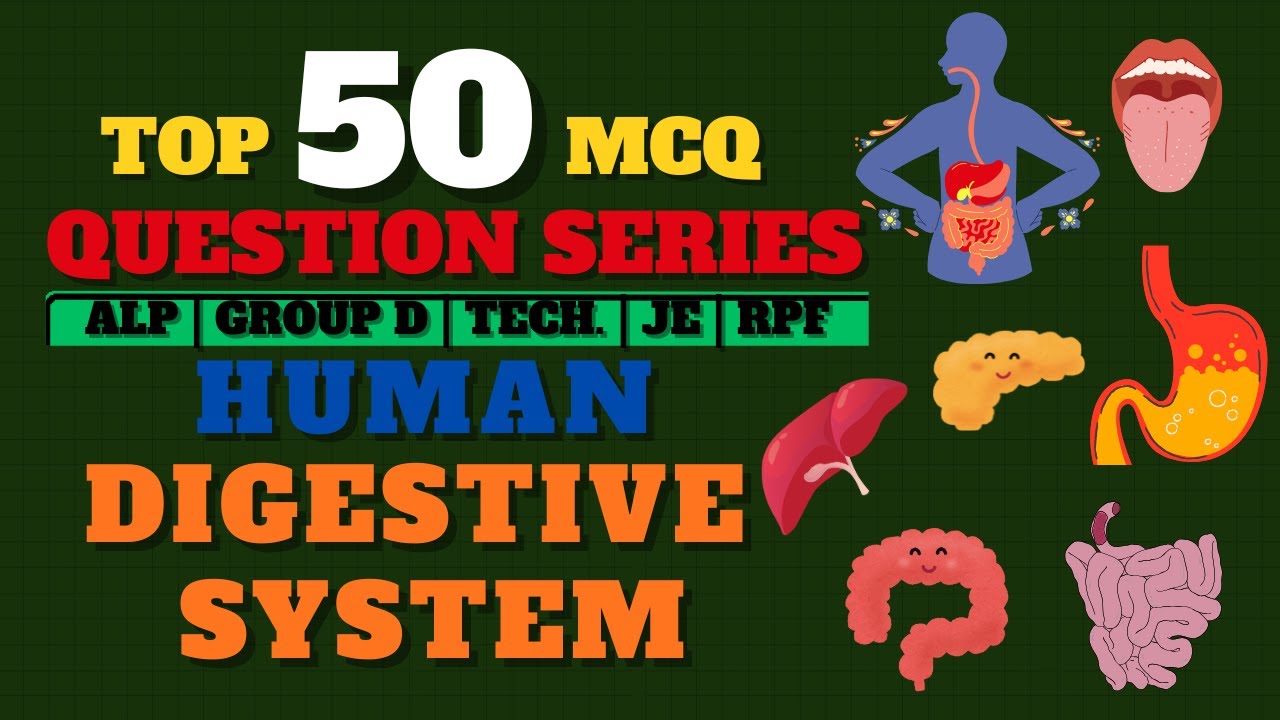 Diestive system mcq questions | human digestive system | biology mcq for all competitive exams