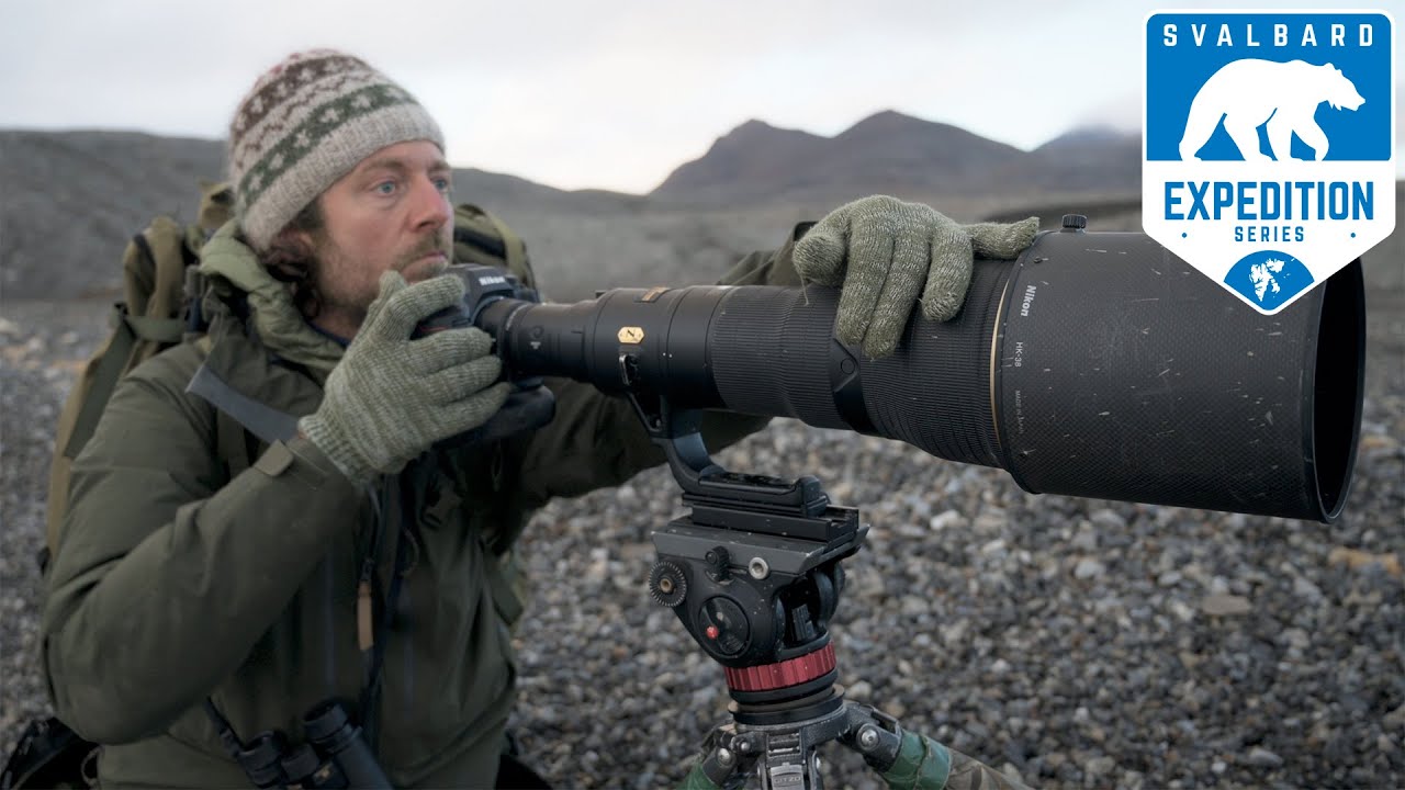 Это УДАЧА в последний момент! | NIKON Z9 для дикой природы — Эпизод 6