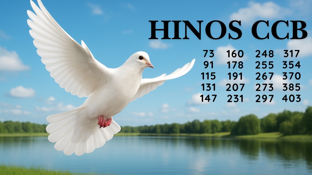 HINOS CCB - 60  | 73 91 115 131 147 160 178 191 207 231 248 255 267 273 297 317 354 370 385 403
