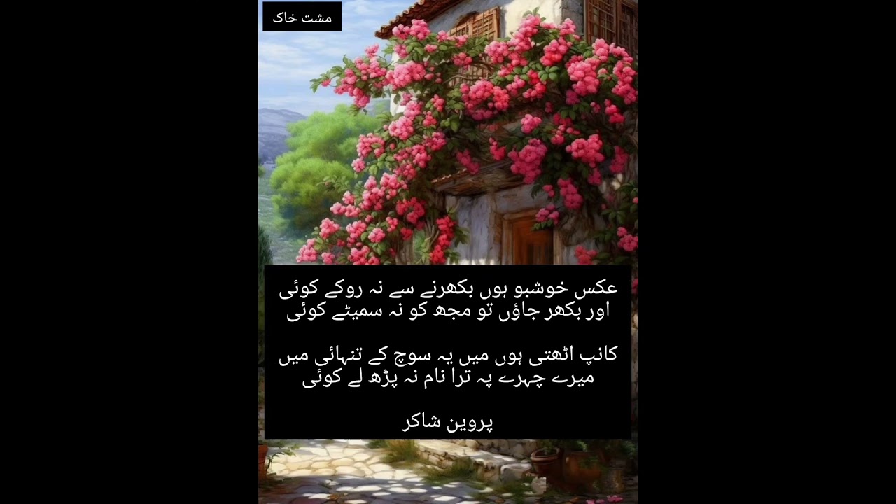 urduadab#please_subscribe_my_channel #quotes #urdulover #urduloverspoetry #urducouplets #goldenword