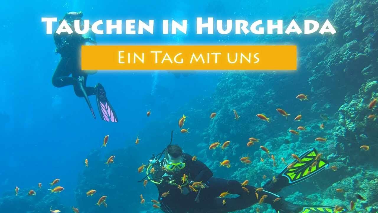 Tauchen in Hurghada 🇪🇬 – Ein echter Tauchtag mit den Tauchfreunden (Boot, Crew & Unterwasserwelt)