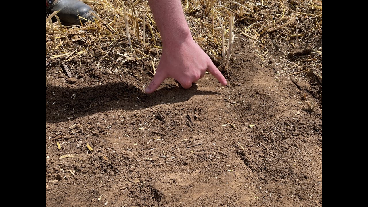 Feldexkursion 195: Bodenbearbeitung - NU Agrar, 28.07.2021