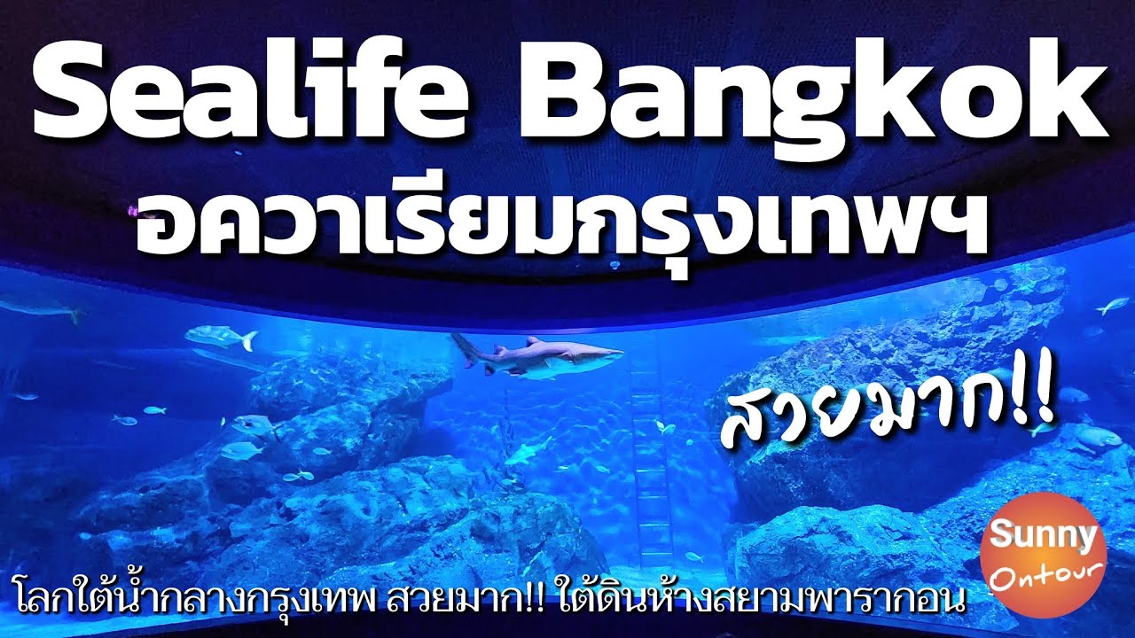 พาเที่ยวโลกใต้น้ำ ดูปลา ชมเพนกวิน ห้างสยามพาราก้อน สวยมาก! | Sealife​ Bangkok​ | Sunny​ ontour​