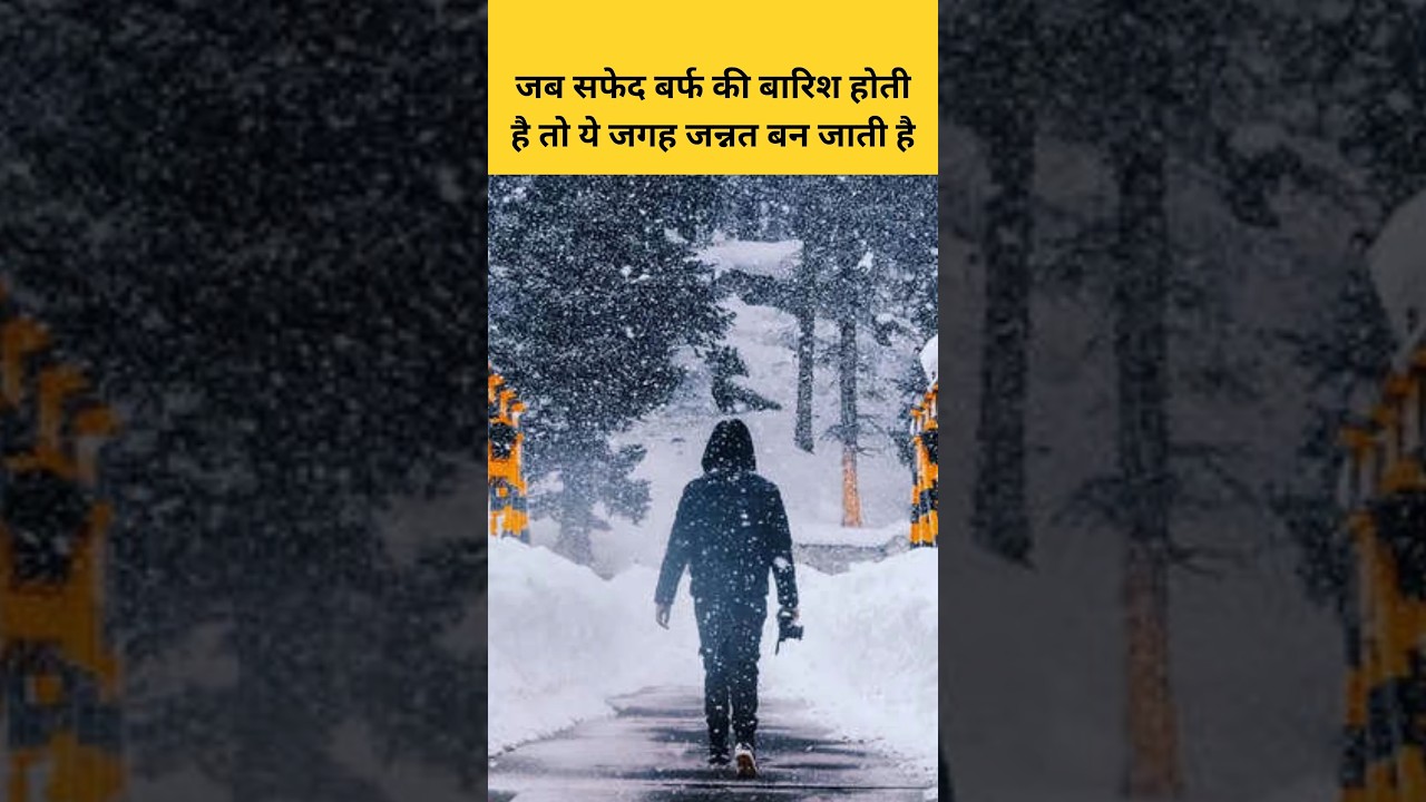 Winter Wonderland of India | Sissu | Himachal Pradesh | Manali