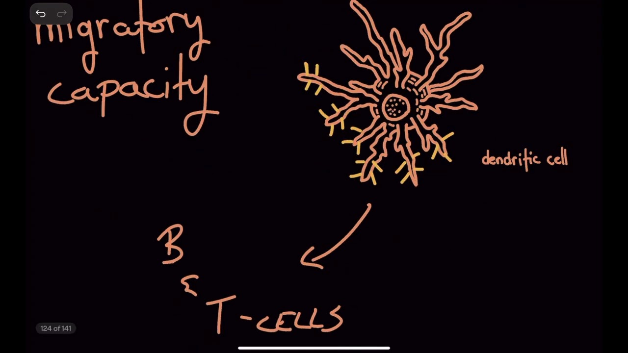 1 2 Cells of Innate and Adaptive Immunity