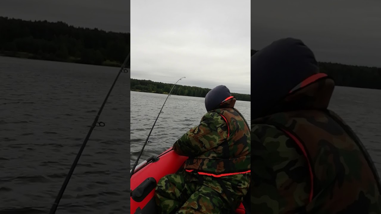 RIB Stel R375 Elen +Tohatsu 25
