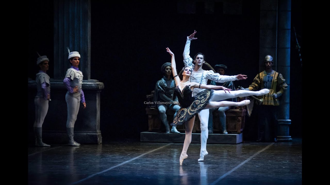 Lago de los Cisnes - Cisne Negro - Teatro Argentino de la Plata 2013