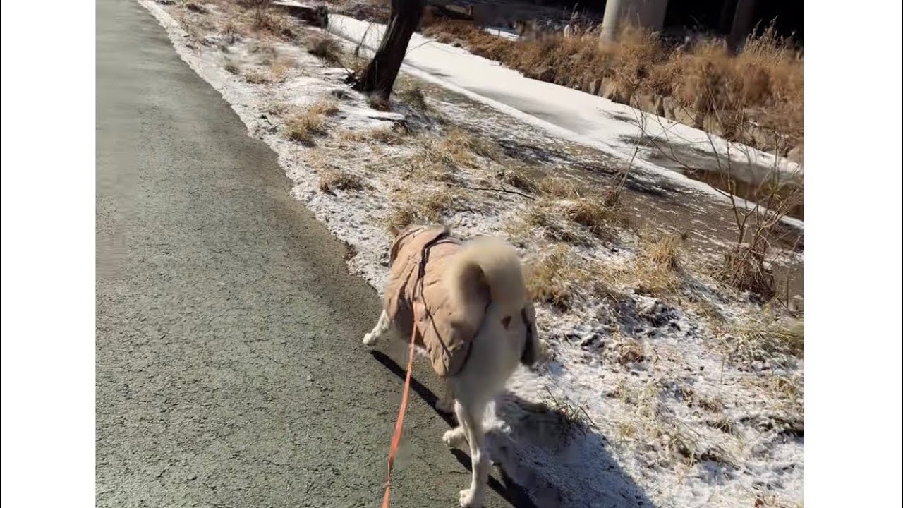 순딩순딩 이풍순 (풍순이네) 라이브 방송
