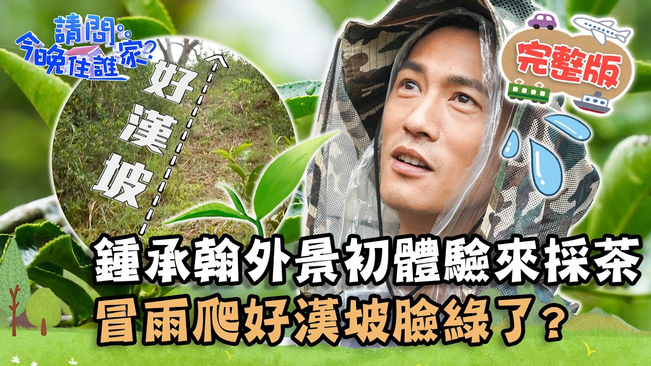 【新北】運動天才超硬挑戰！鍾承翰外景初體驗來採茶 冒雨爬好漢坡臉綠了？📌三峽【#請問今晚住誰家】20210726 EP384 王傳一 肯納 鍾承翰