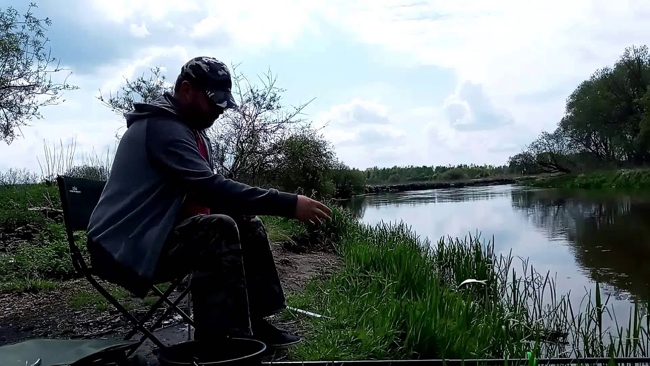 Wieprz, drobnica, zaczepy i atak bolenia film 5