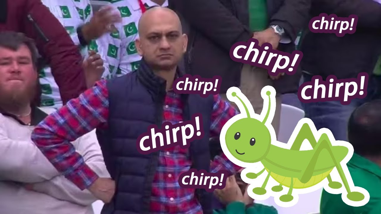 Occasional Random Cricket Chirping Soundsㅣ1 HOURㅣ Prank and Jokes