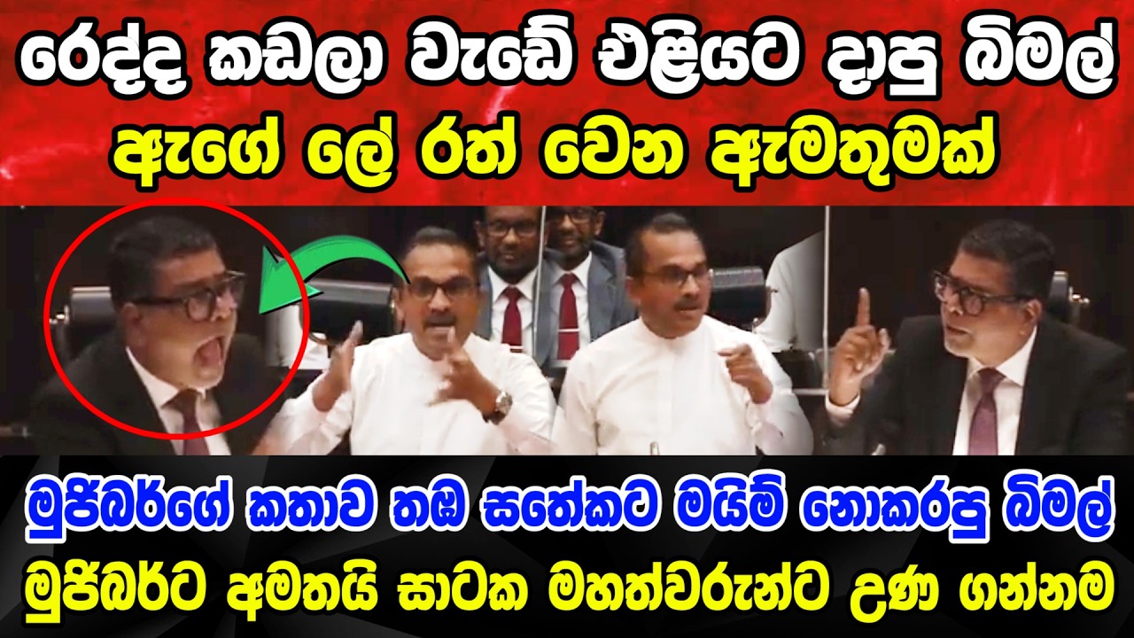 🚨මුජිබර්ගේ කතාව තඹ සතේකට මයිම් නොකරපු බිමල් මුජිබර්ට අමතයි සාටක මහත්වරුන්ට උණ ගන්නම Bimal vs Mujibur
