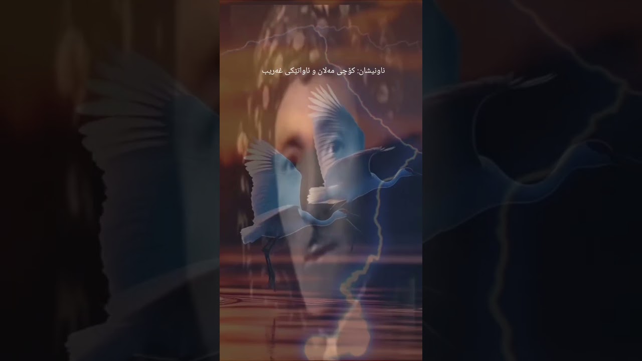 ناونیشان: کۆچی مەلان و ئاواتێکی غەریب 