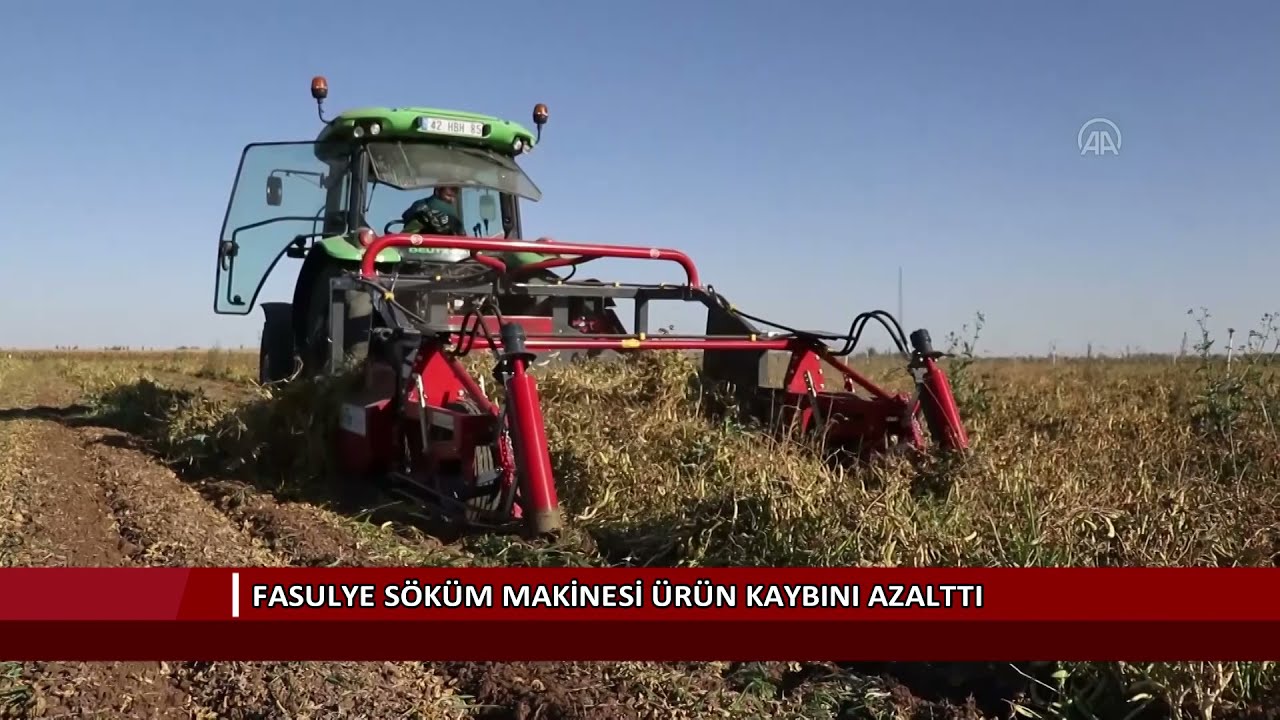 Fasulye söküm makinesi ürün kaybını azalttı