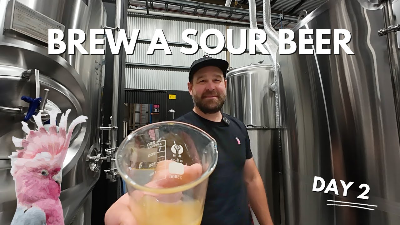 How To Brew A Sour Beer Like A Pro - Part 2