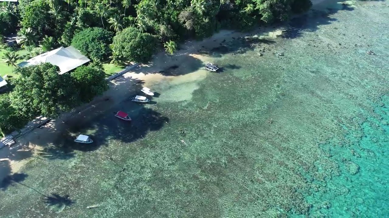 Excellent snorkeling off the beach @ Lawaki Beach House 