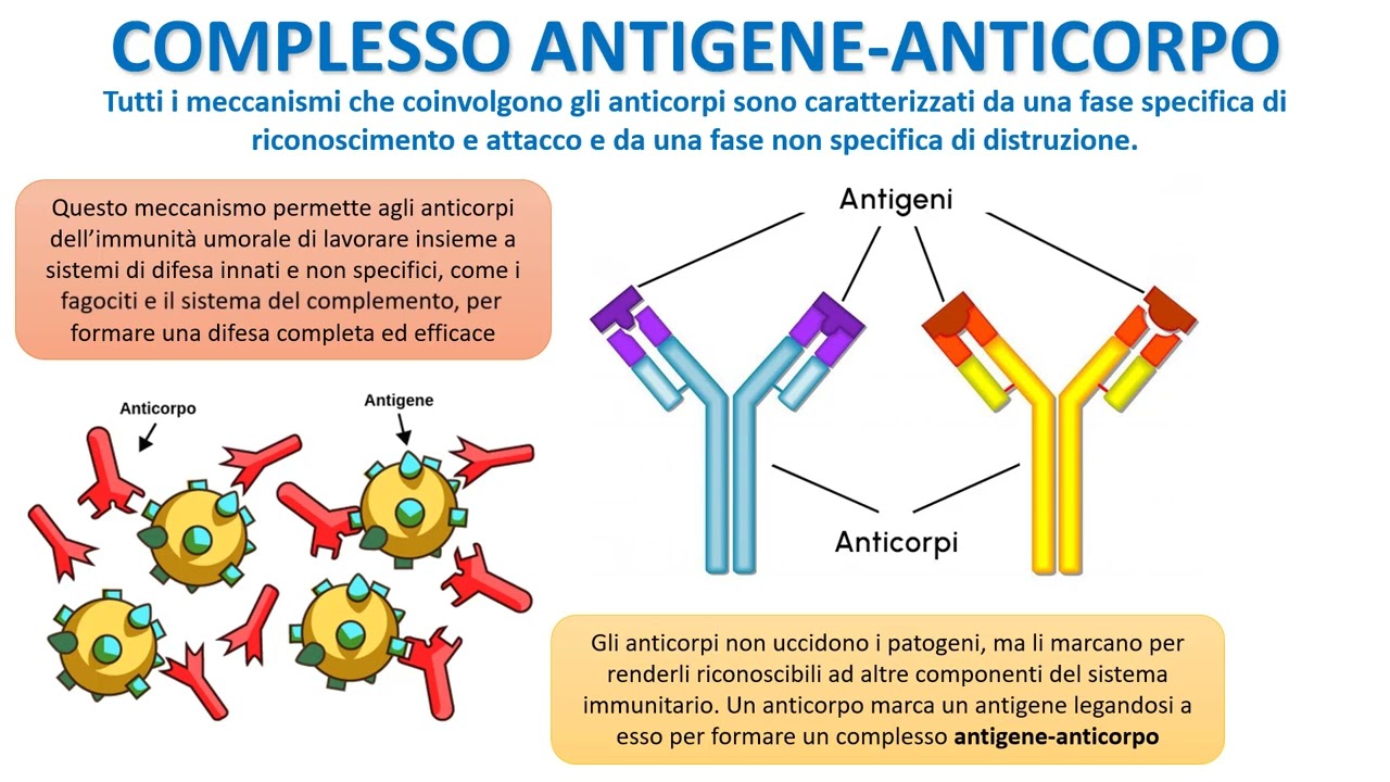 LA RISPOSTA IMMUNITARIA UMORALE