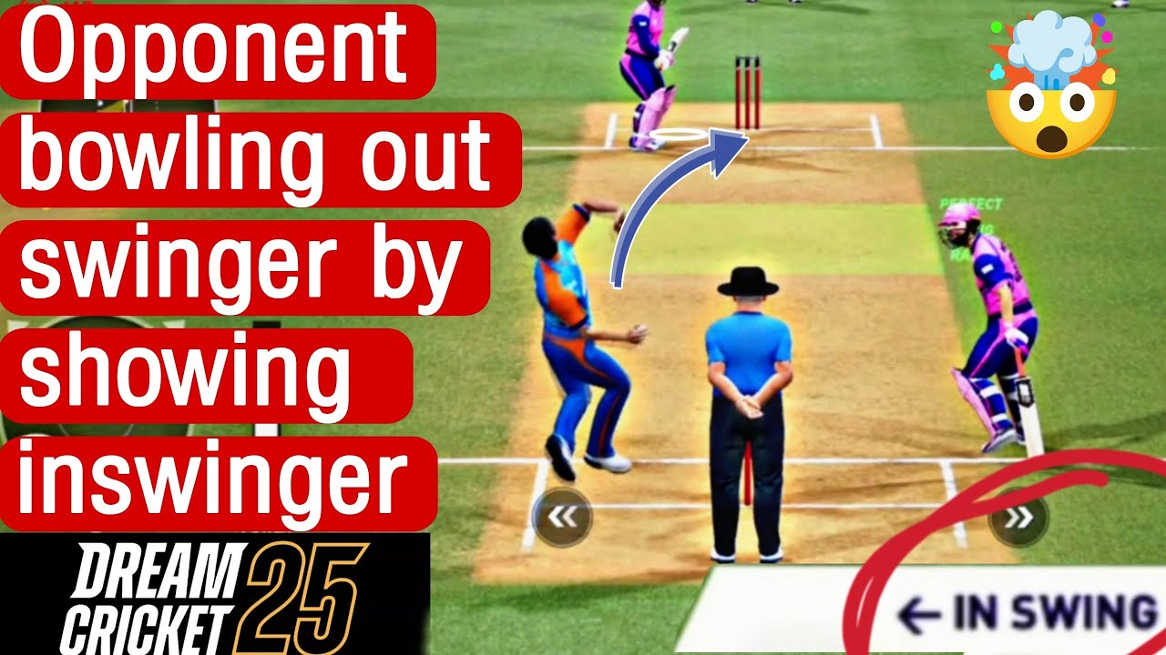 Hack or glitch? reverse swing bowling in Dream Cricket 25 multiplayer match