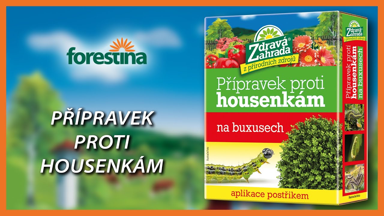 Přípravek proti housenkám na buxusech