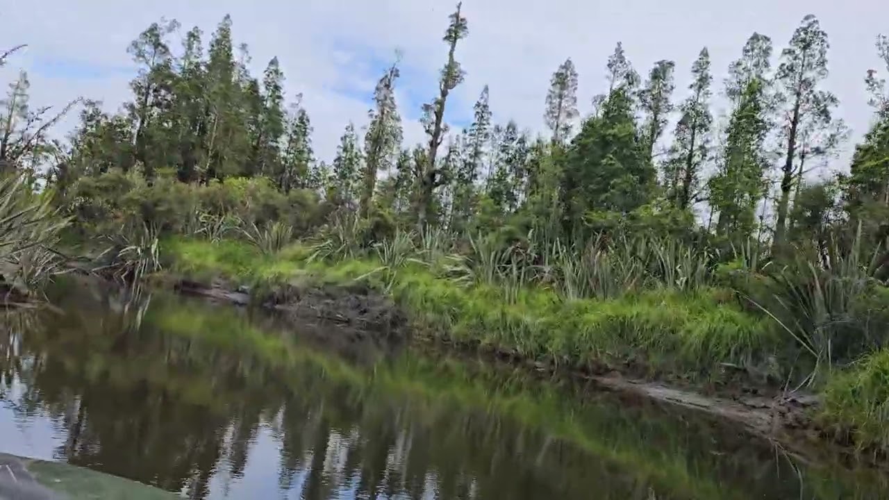 Jetboating Monts Creek  2026
