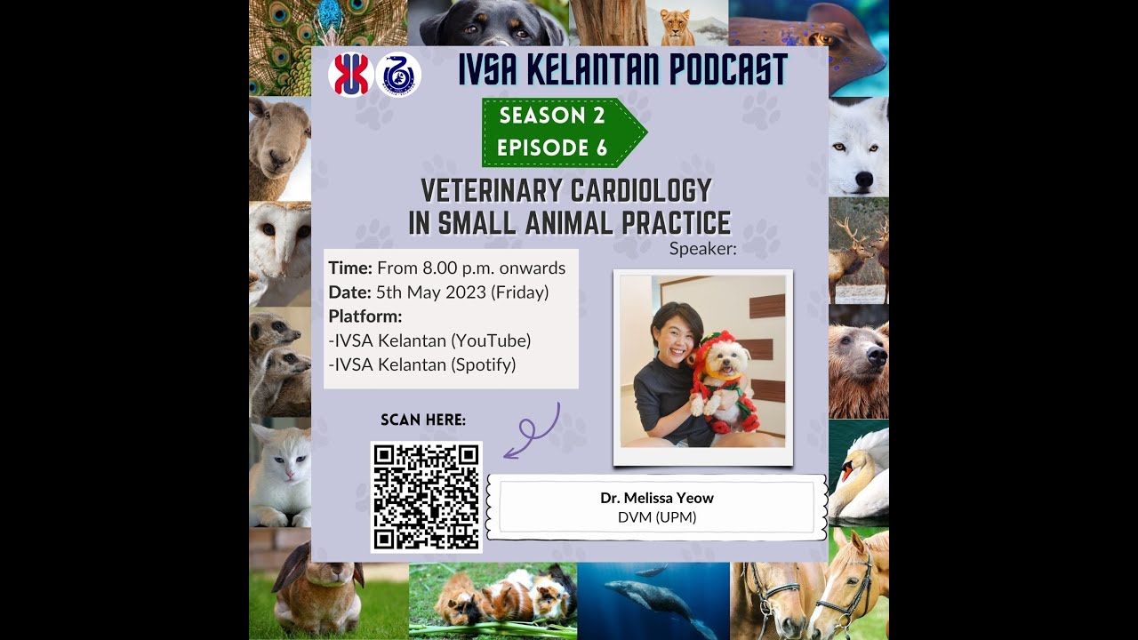 IVSA Kelantan Podcast S2E6- Veterinary Cardiology in Small Animal Practice by Dr. Melissa
