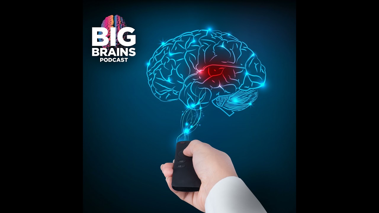 Can You Improve Your Working Memory and Attention? with Edward Awh