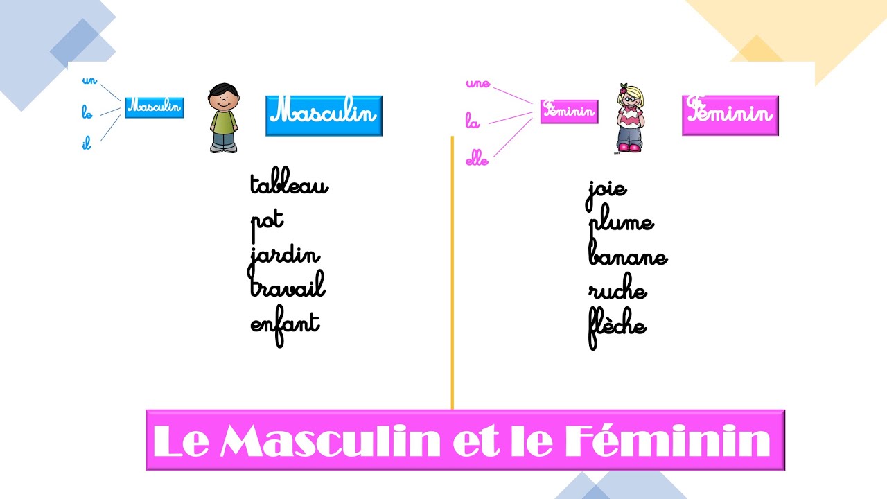 Français CP - Masculin et Féminin - leçon