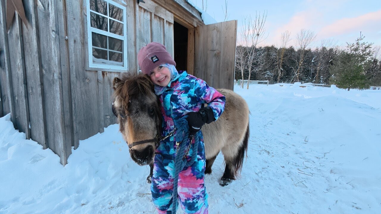Spend the evening with me and the animals