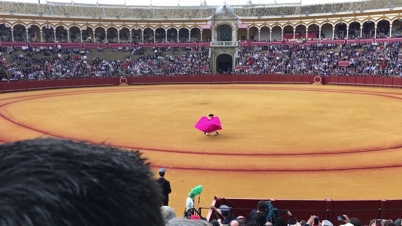 Porta Gayola Padilla na Maestranza de Sevilla