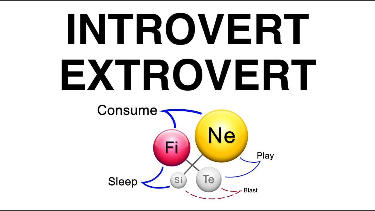 Introvert vs Extrovert