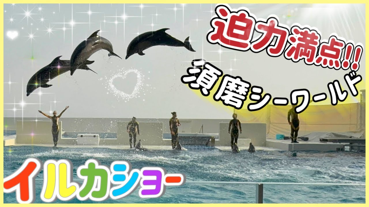 【迫力満点】須磨シーワールドのイルカショーは凄かった!!